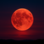 Rising BloodMoon logo