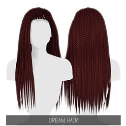 Simpliciaty's Dream Hair logo