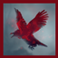 Dark Orion logo
