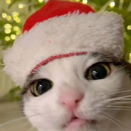 Weihnachti logo