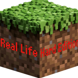 Real Life Hard Edition project image