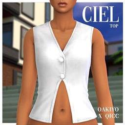 QICC - Ciel Top logo