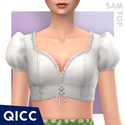 QICC - Sam Top logo