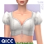 QICC - Sam Top logo