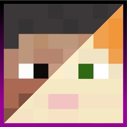 Player Data Fix project image