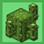 Oaks Better Cactus logo