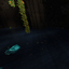 Cave Fish logo