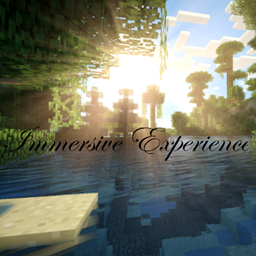 Immersive Experience project image