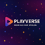 Playverse-AREA51 logo