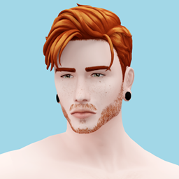 Facial Hair Style N04 project image