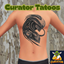 Curator Alien Pack CAP001 - Base game compatible logo