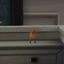 Robin Streaming Bird By Imperial_Simmer | Chinese Translation logo