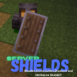 Server Shields