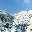 Winter Lovin Life logo