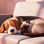Cat And Dog Custom Traits en español logo