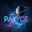 Palyce logo
