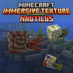Immersive texture Nautilus project image