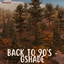 Back to the 90’s : Reshade Preset  logo
