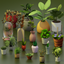 Green Thumb Set logo