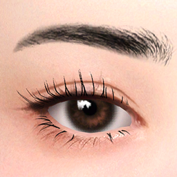 Brows 72 HQ logo