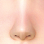 Nose Preset 55 HQ logo