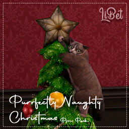 Purrfectly Naughty Christmas - Pose Pack project image