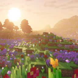 Meadow's Brook project image