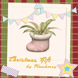 Christmas Gift_Plant project image