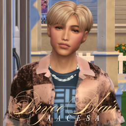 Bryce Blairr logo