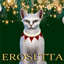 [ERosetta]2025Chrismas_pet collar logo