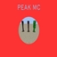 PEAKNESS logo
