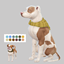 Plaid Bandana Dog Set for Big & Small Dogs | Matching Patterns and Colors [Cats & Dogs Required] logo