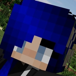 Fennec's Server Pack logo
