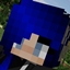 Fennec's Server Pack logo