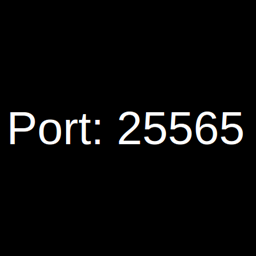 Default LAN Port project image