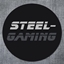 Steelmod logo