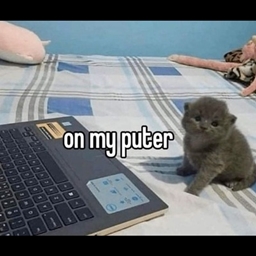 cats3145 ultimate version