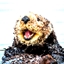 OtterMC skin pack 1 logo