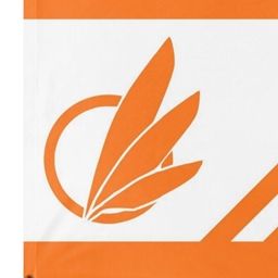 the lost cities of avalon logo