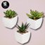 IKEA mini plants set logo