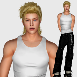 JOEL project image