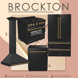Brockton logo