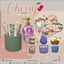 Cherry mini set logo