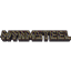 Wyrmsteel logo