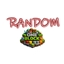 OneRandom logo