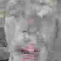 like linus