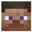 Steve NPC logo
