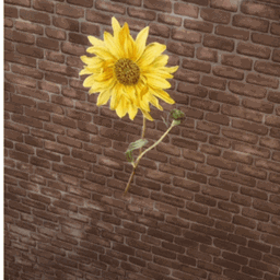 Sunflower Wall Decals logo