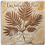 Praehistoricus Botane logo