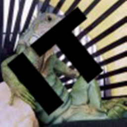 Iguana Tweaks logo